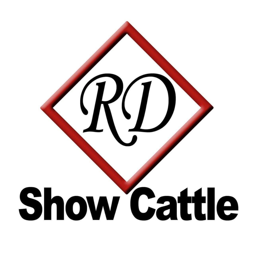 RD Show Cattle