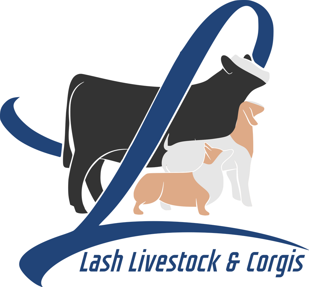 Lash Livestock & Corgi's